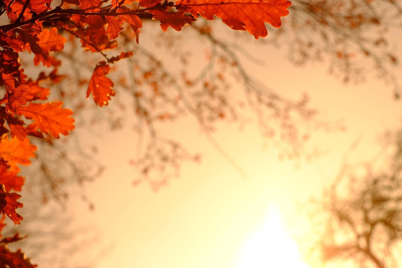 Entdecken Sie unsere Angebote für Oktober